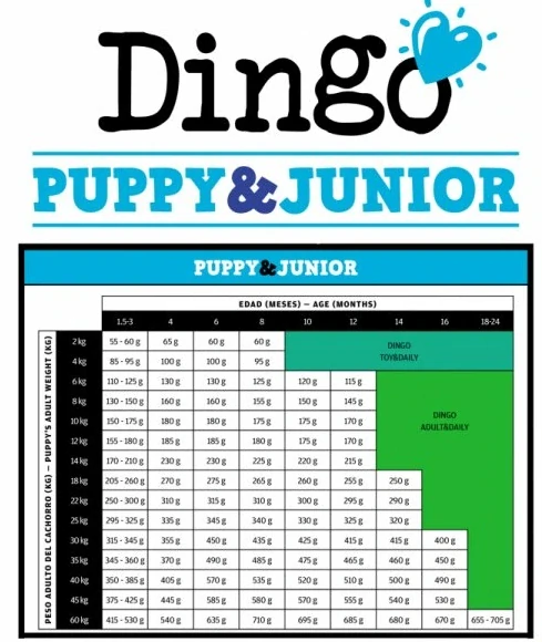 DINGO PUPPY&JUNIOR 12kg